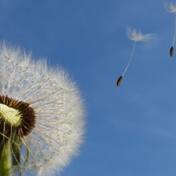 Séances pour les particuliers