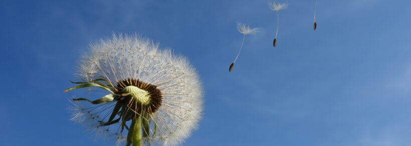 Séances pour les particuliers