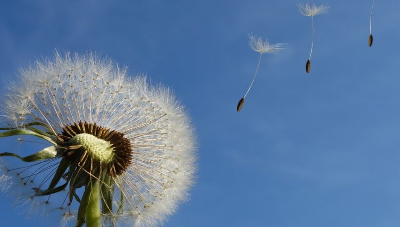 Séances pour les particuliers